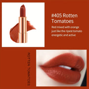 3 Colors Matte Lipstick Set Lip Stick with Sliver Chain Bag Package Non-Stick Cup Long Retractable Red Lipstick Set 3.5gx3